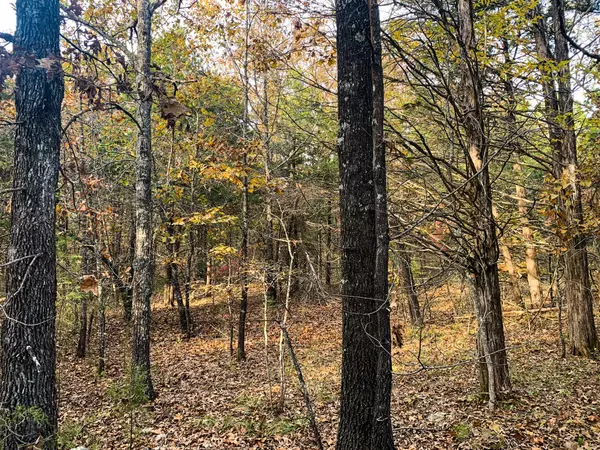 Theodosia, MO 65761,000 Woodhouse Way