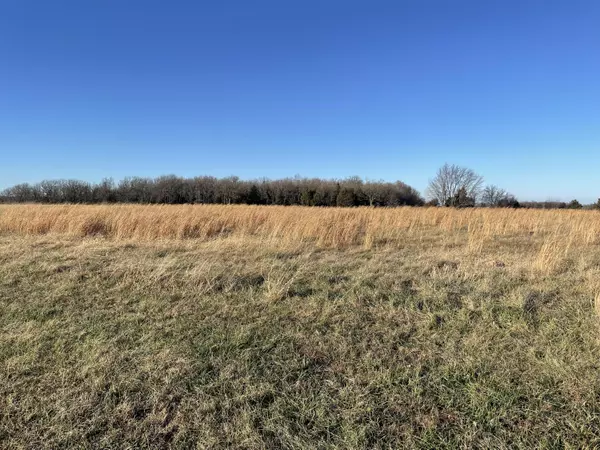 Buffalo, MO 65622,000 Alyssa Hills Lane