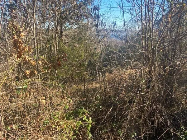 Kimberling City, MO 65686,Lot 5 Shin-Go-Beek Street