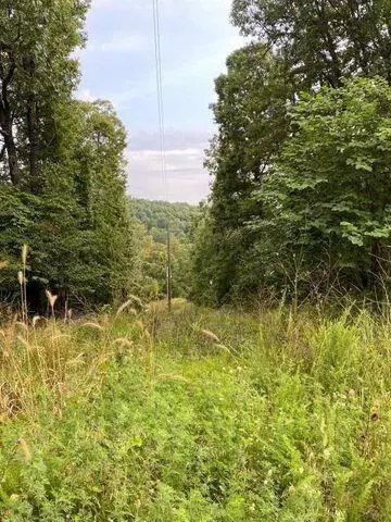 Gainesville, MO 65655,000 Tbd White Oak Street