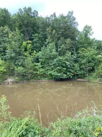 Gainesville, MO 65655,000 Tbd White Oak Street