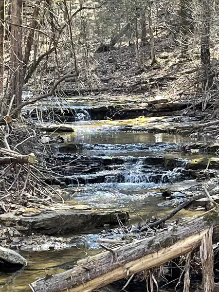 Address Not Disclosed