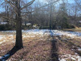 Hollister, MO 65672,000 Lot 8 Foggy River Road