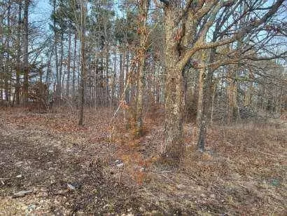 Mountain Grove, MO 65711,000 Tbd Highway M