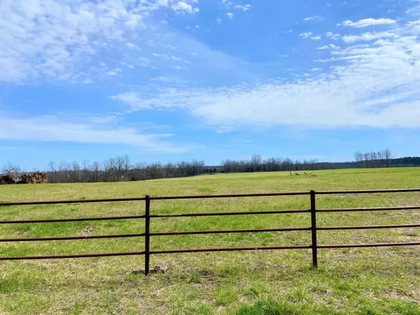 Theodosia, MO 65761,000 County Road 902