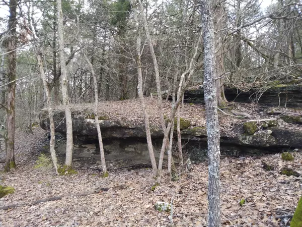 Gainesville, MO 65655,000 County Road 827