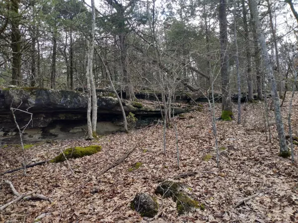 Gainesville, MO 65655,000 County Road 827