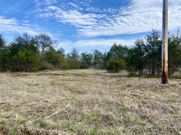 Theodosia, MO 65761,000 County Road  905