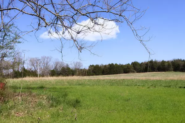 Theodosia, MO 65761,000 Nn Highway