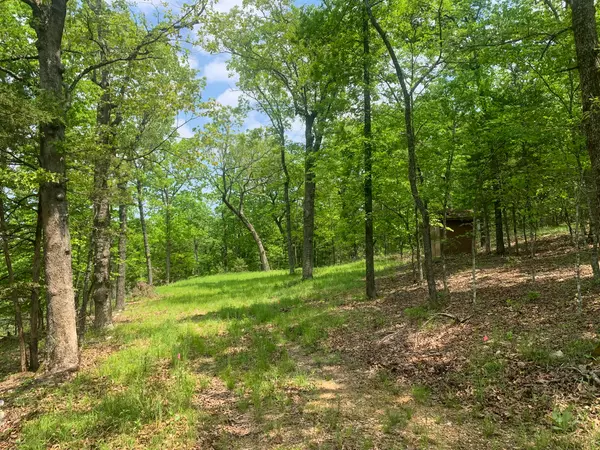 Theodosia, MO 65761,000 County Road Nn-647