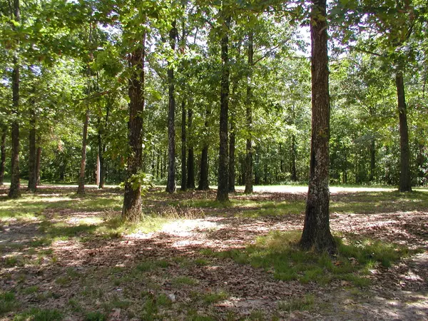 West Plains, MO 65775,000 U.S. Highway 160 W