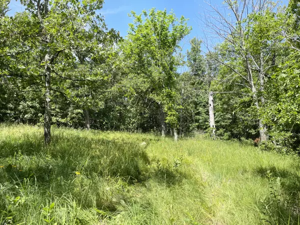 Vanzant, MO 65768,000 County Road 76-251