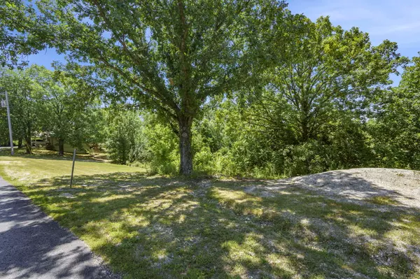 Branson West, MO 65737,161 Notch Lane