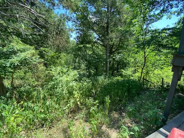 Beulah, MO 65436,19810 State Route K