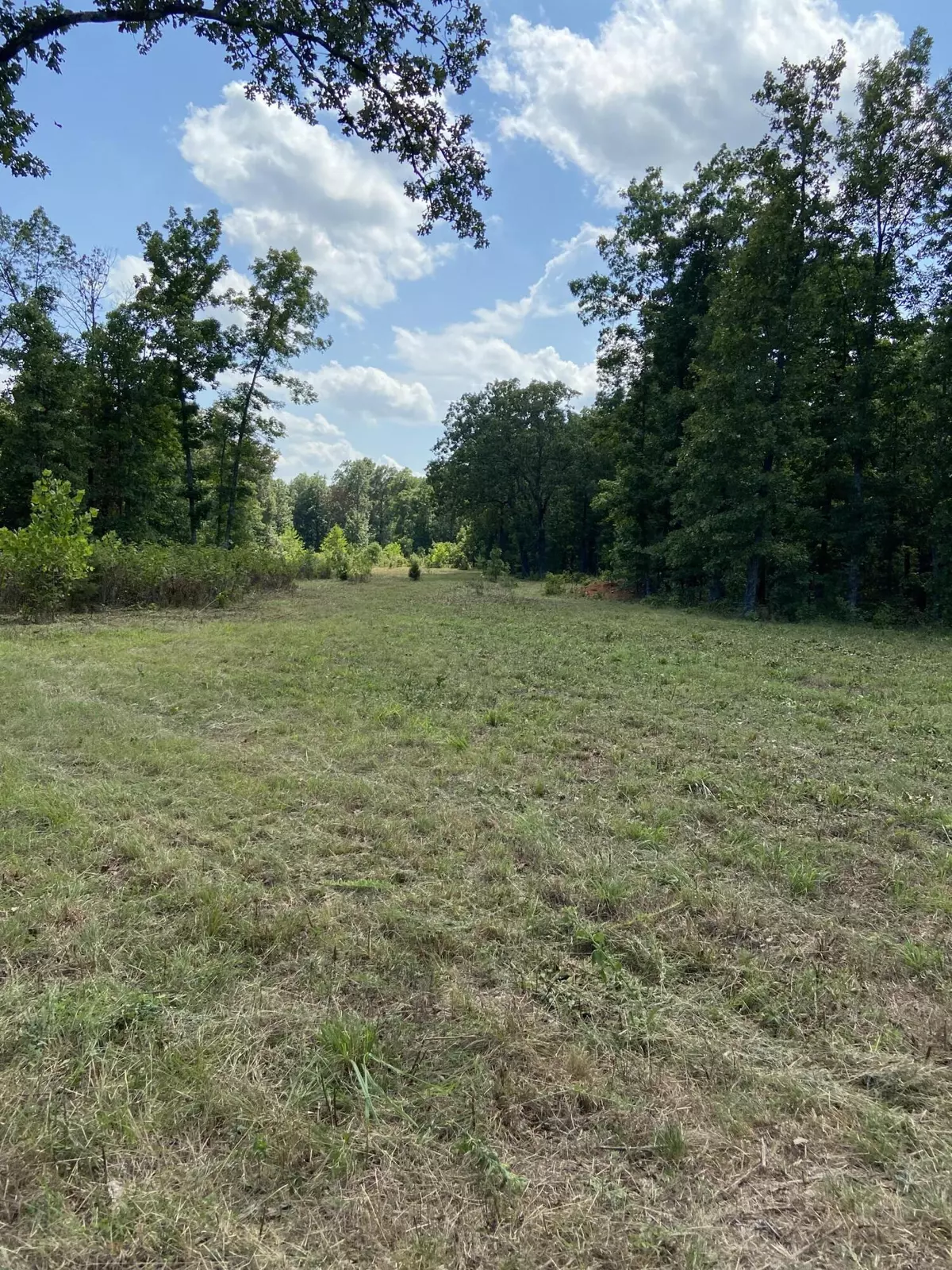 Alton, MO 65606,000 Cc-200 Private Road