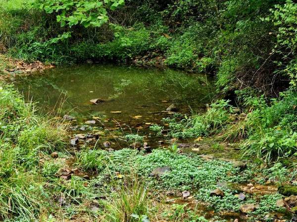 Graff, MO 65660,000 Baty/Casey Road