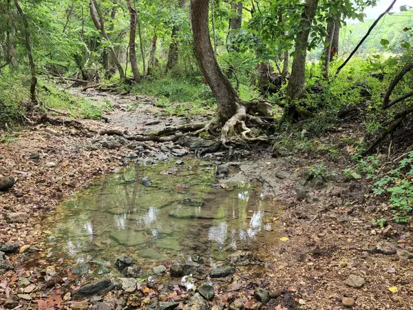 Graff, MO 65660,000 Baty/Casey Road