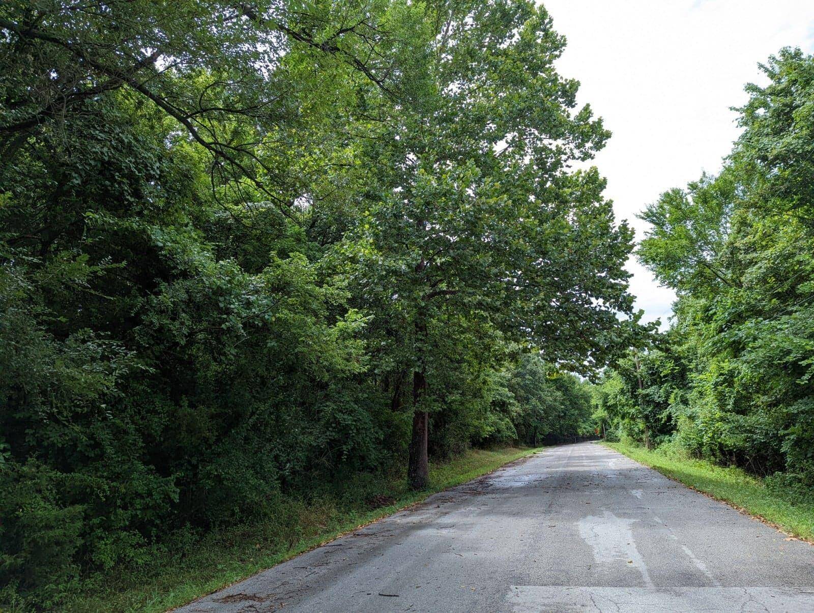 Lot 5-6, 12 Fulbright North Avenue, Springfield, MO 65803