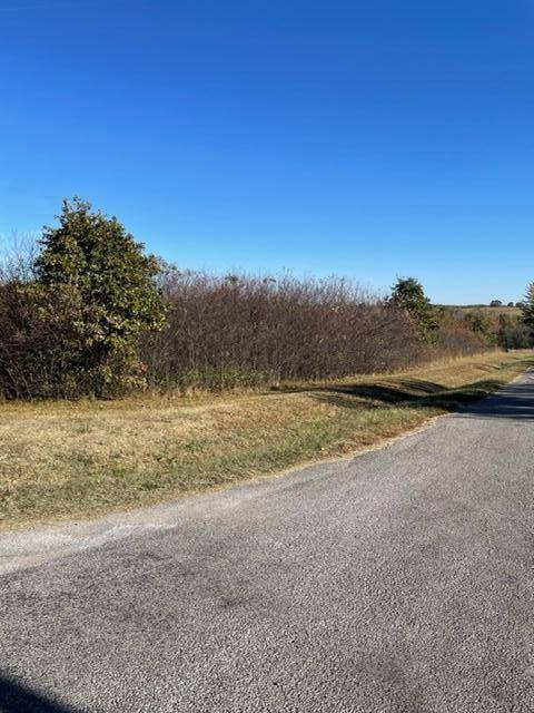 Lot 1 Stonegate Subdivision, Ash Grove, MO 65604