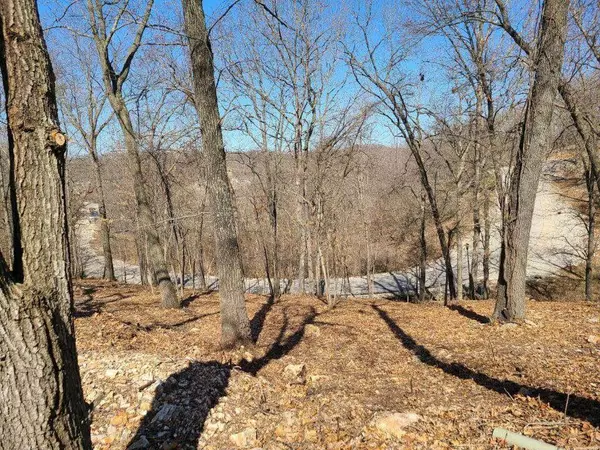 Lake Ozark, MO 65049,1004 Beacon Ridge Drive