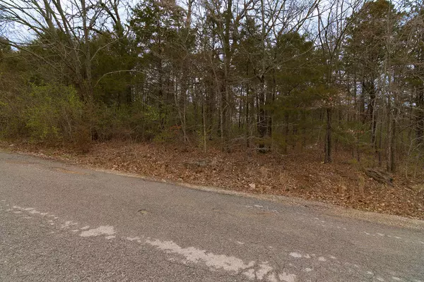 Merriam Woods, MO 65740,Lot 2 West Gate Road