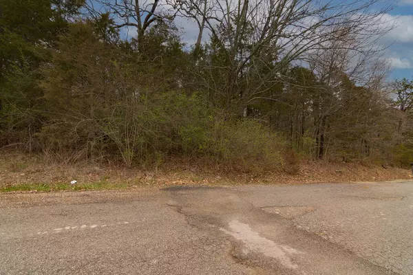 Merriam Woods, MO 65740,Lot 2 West Gate Road