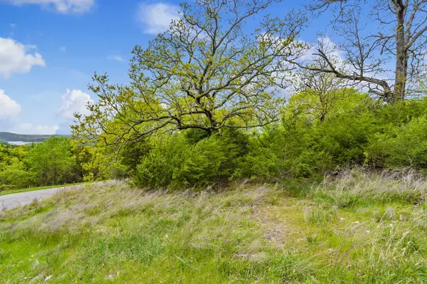 Cape Fair, MO 65624,Lot 26,27 Hanging Branch Ridge Road