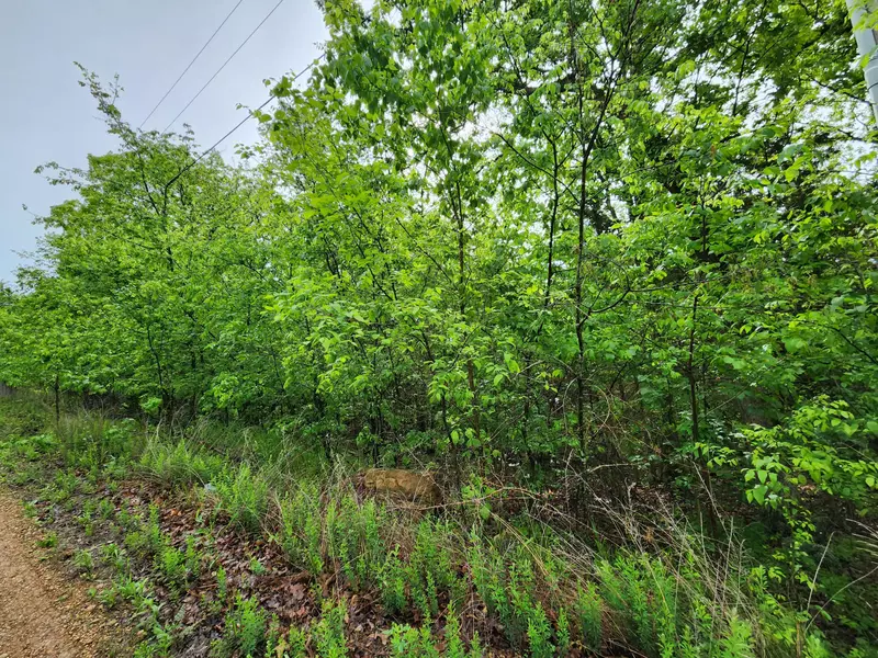 Tract 3 Easy Street, Pittsburg, MO 65724