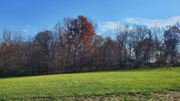 Republic, MO 65738,6594 S Stock Street #Lot 10