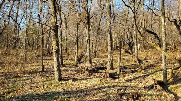 Republic, MO 65738,7035 W Musket Ridge Road #Lot 23