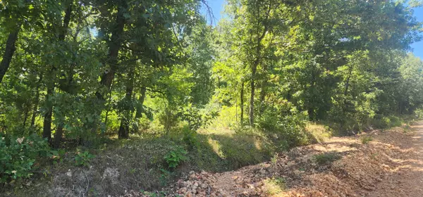 Exeter, MO 65647,000 Farm Road 1042