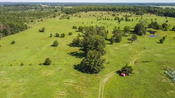 West Plains, MO 65775,000 State Route 17 S