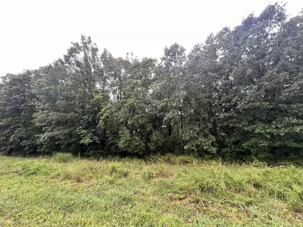 292 Walnut Springs Drive, Cape Fair, MO 65624