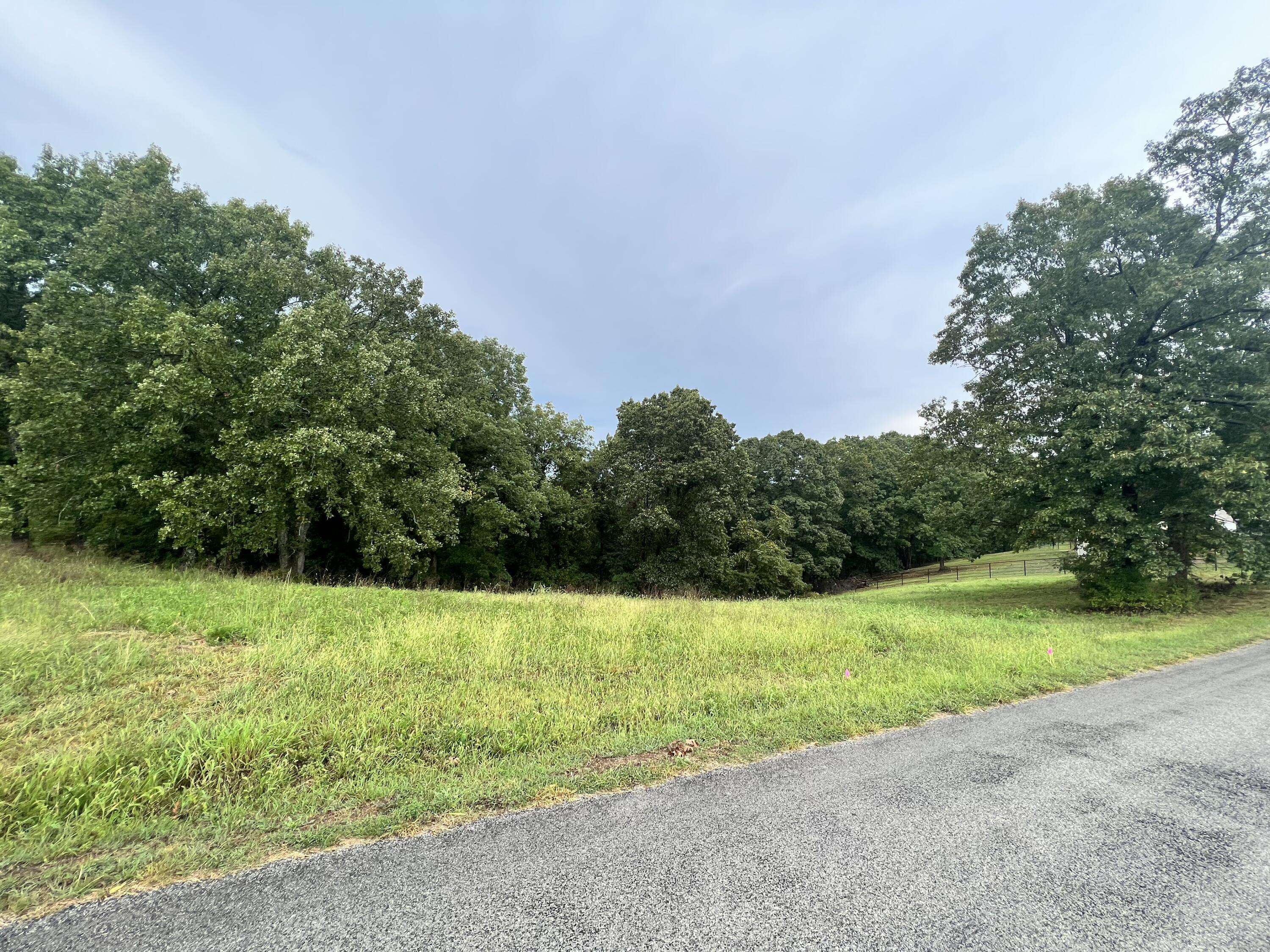 Cape Fair, MO 65624,123 Panorama Drive