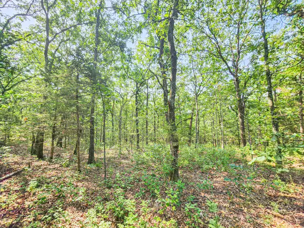 Cross Timbers, MO 65634,Tract 9 Buck Mountain