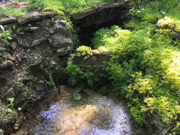 Elk Creek, MO 65464,18079 Grogan Road