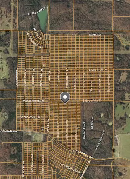 Address Not Disclosed