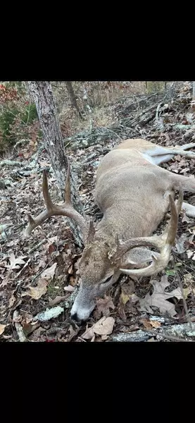 Address Not Disclosed