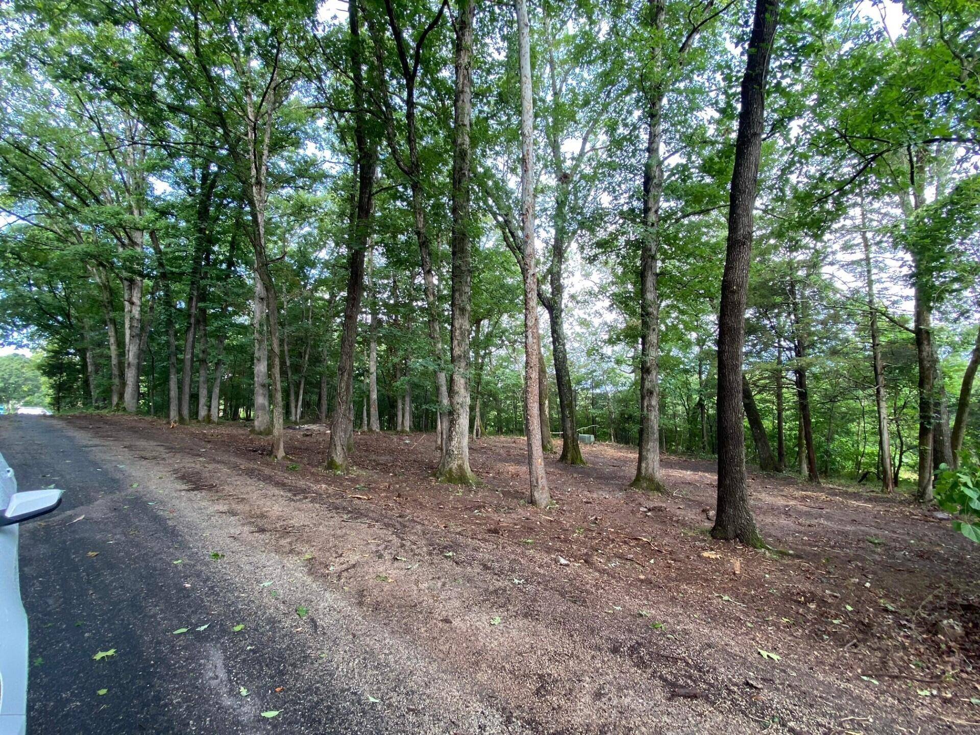 Powersite, MO 65731,Lot 100 Richmond Road