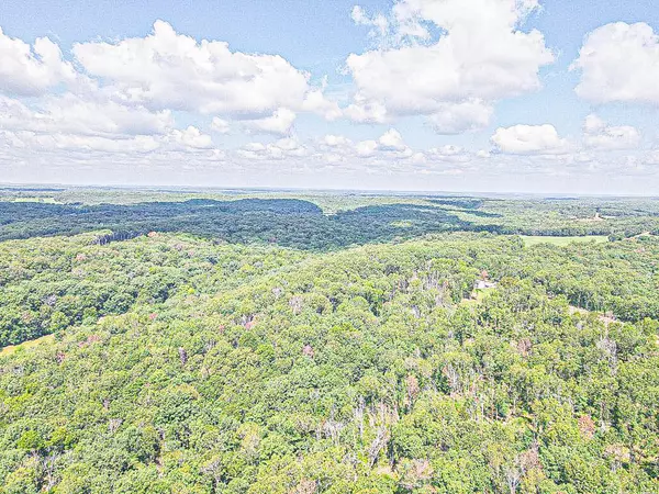 Cross Timbers, MO 65634,000 County Road 2yy