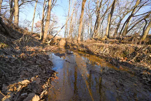 Appleton City, MO 64724,000 Cr 2772