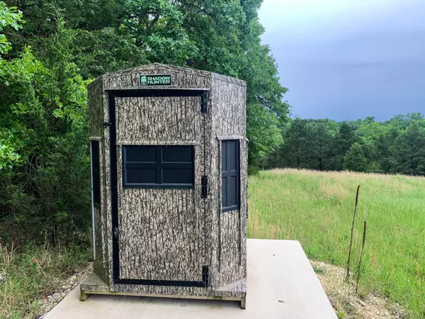 Theodosia, MO 65761,000 County Road 642