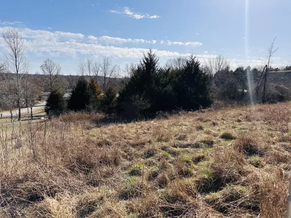 Lot 17&18 Molly Lane, Rockaway Beach, MO 65740