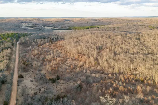 Falcon, MO 65470,000 Laclede Drive