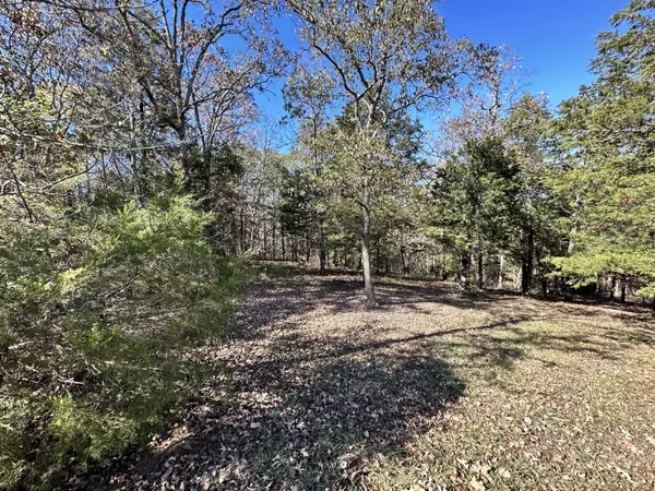 Saddlebrooke, MO 65630,Lots 36 37 Appaloosa Trail