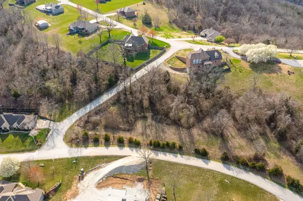 Walnut Shade, MO 65771,Lot 61 Jacks Hollow Road