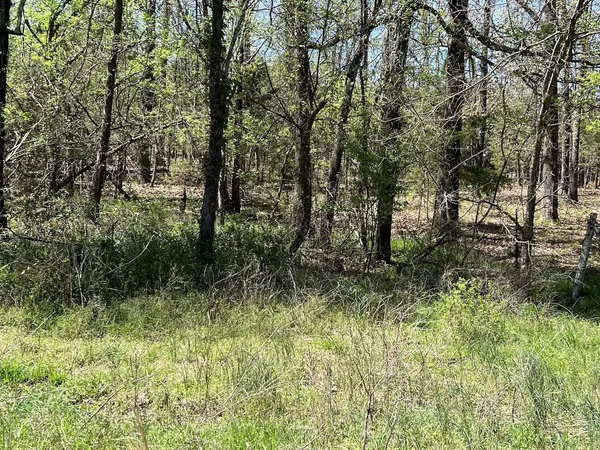 Ash Flat, AR 72513,000 Golden Star Street