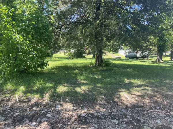 Blue Eye, MO 65611,Lot # 14 N Elm Street