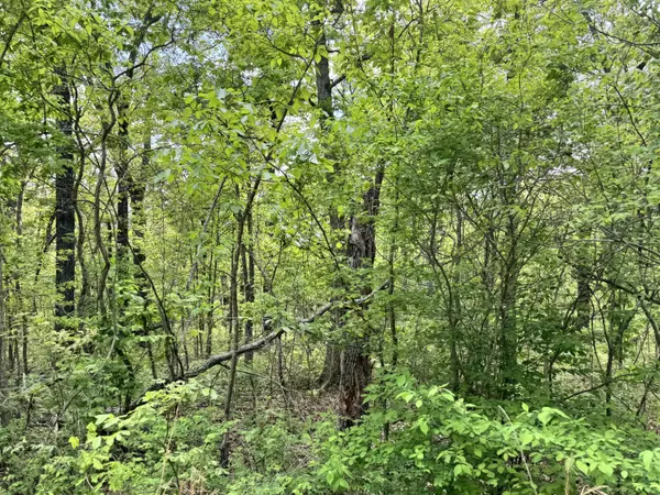 Edwards, MO 65326,Lot 2250 Bradley Lane