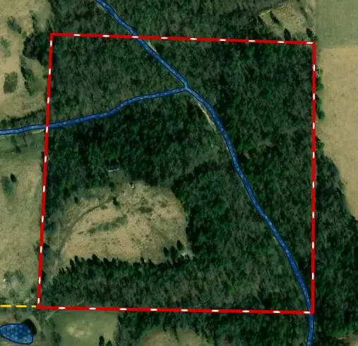 Cabool, MO 65689,12109 County Road 274-A